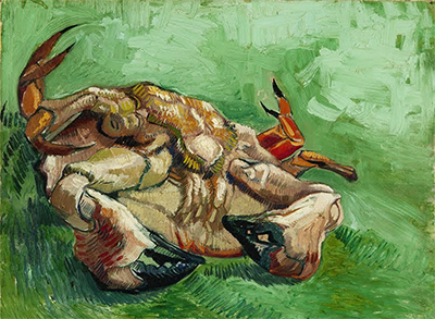 Crab on its Back Vincent van Gogh